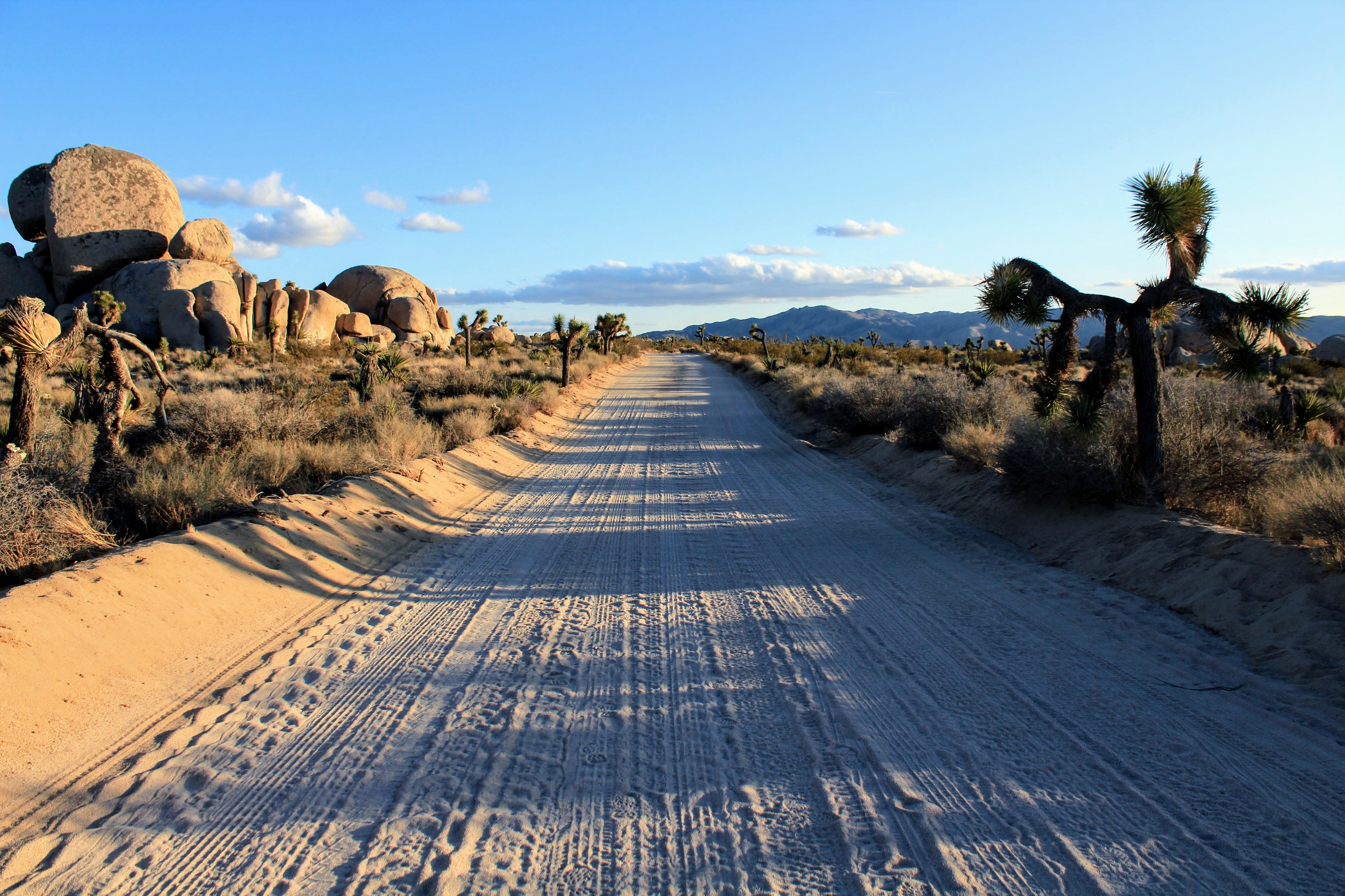 Stay in the best homes in Yucca Valley, CA, U.S. Plum Guide