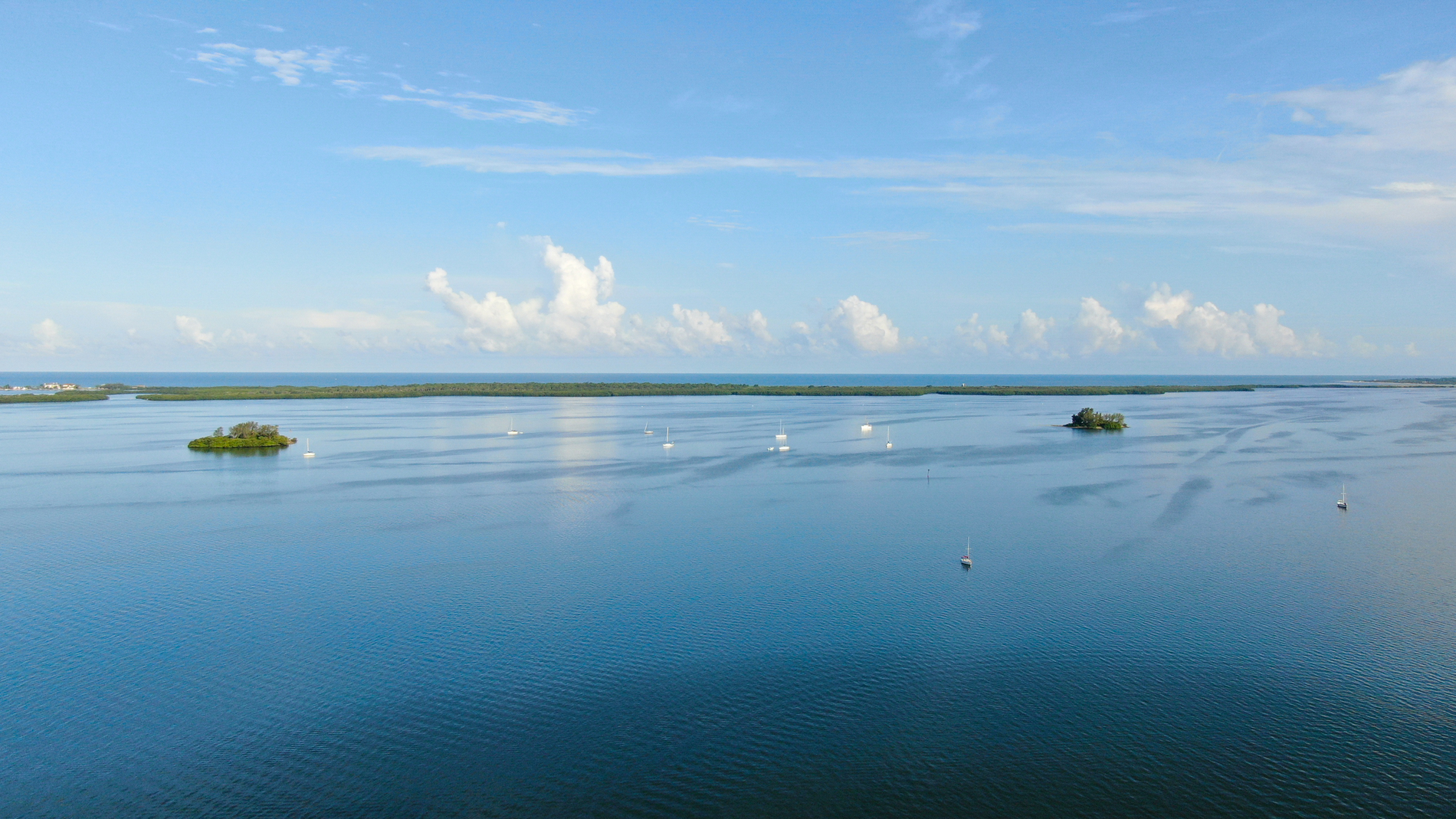 Dunedin, FL
