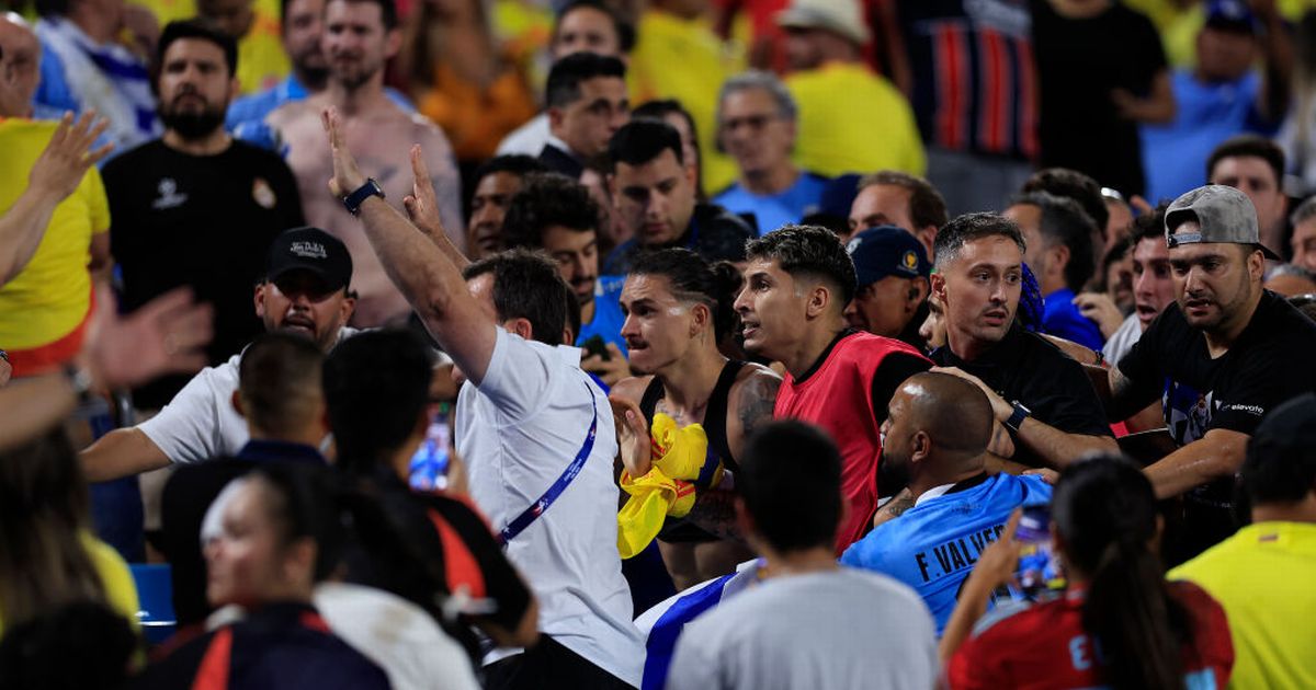 Darwin Nunez in huge brawl in stands as Liverpool star hits fans at