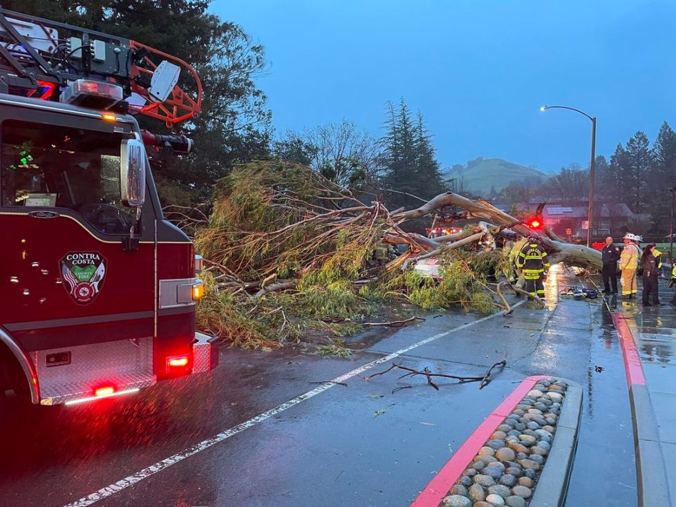 8+ Novato Car Accident LesiaJaydee