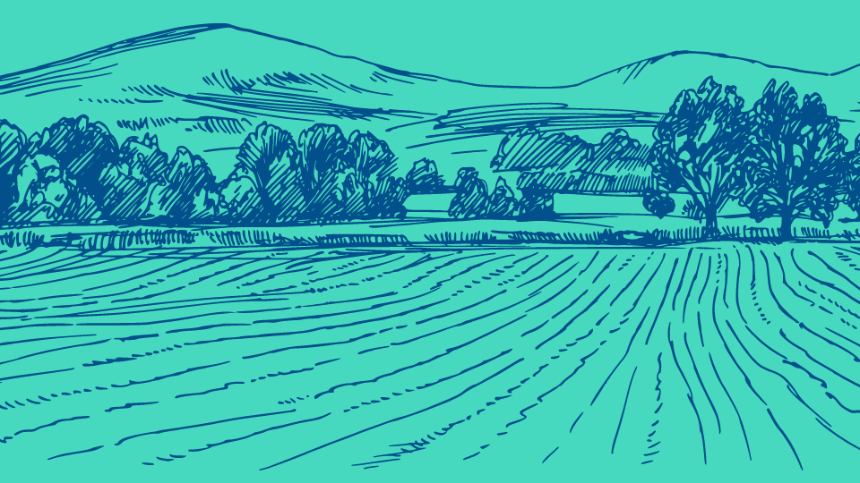 Stanford Technology Ventures Program spring_valley